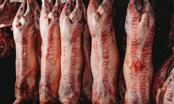 Whole Lamb